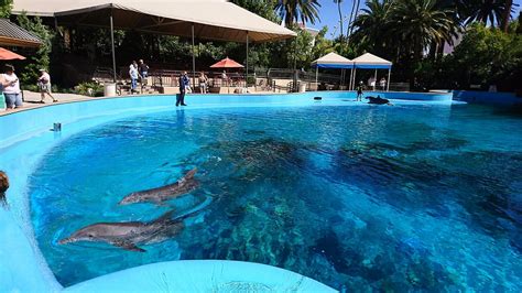 lv dolphin|siegfried and roy's secret las vegas.